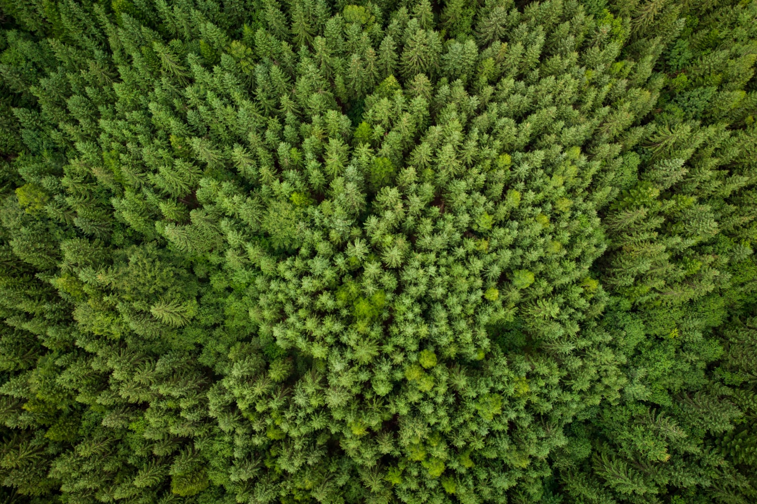 Bekijk onze inzet voor de natuur en wat wij doen voor een groene toekomst
